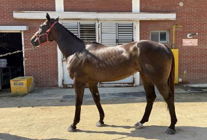 �������� ����