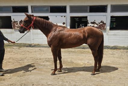 �۷ι���Ʈ ����