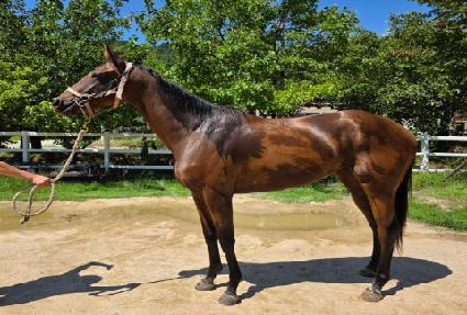 �ʽ¿��� ����