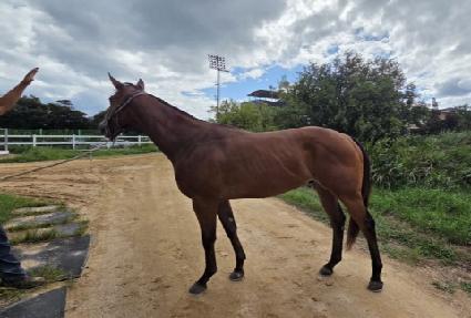 ���ֽ��ڶ� ����