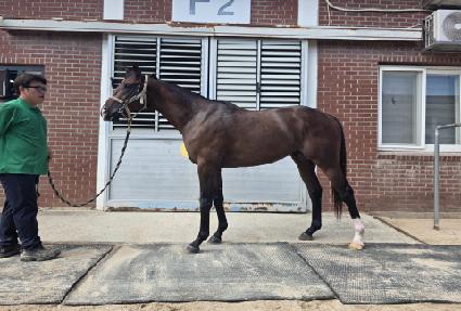 ��ó��Ʈ ����