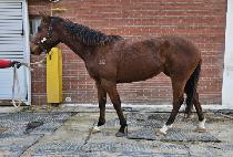 �õ��̷� (ALL DAY LONG) ����