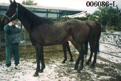 ��ġ�ڽ� ����