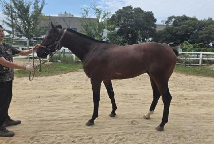 ����ŷ���� ����