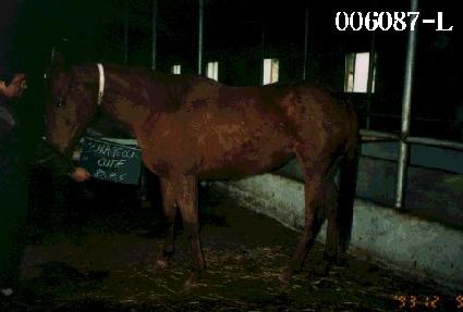 Ŀ�����ĿƼ ����