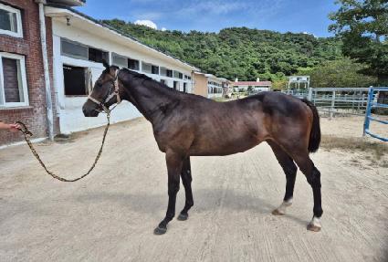 ����ũ�ε� ����