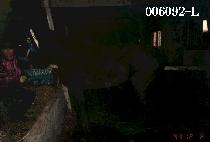 ���ø����̼� (KOMPLICATION) ����