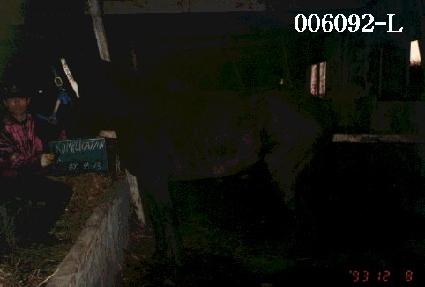 ���ø����̼� ����