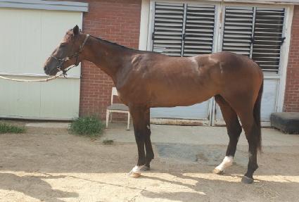 Ŭ��ġĵ�� ����