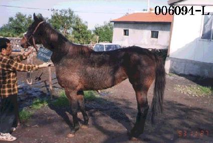 ���̵�ȣ�ٿ� ����