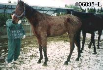 �������þִ� (USE EM ALL ANNIE) ����