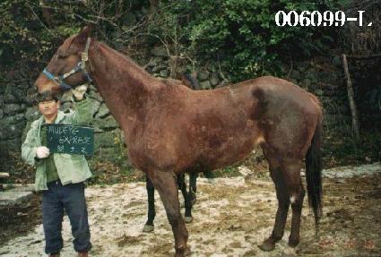 �������ͽ������� ����