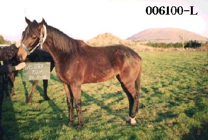 �̽���Ÿ�̵� ����