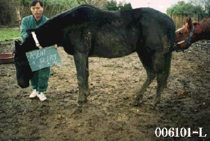 ������Ʈ����Ʈ ����