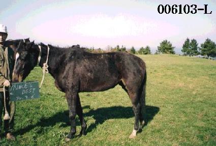 ���������Ʈ ����