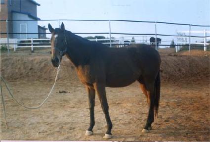 ����ťƼ���ϴ� ����