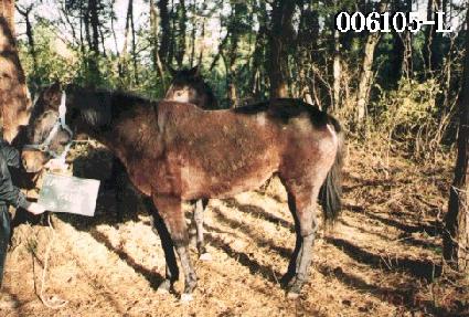 ����ĵ�� ����