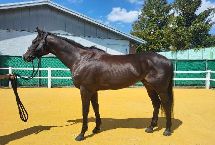 �ζ󿡷��� ����