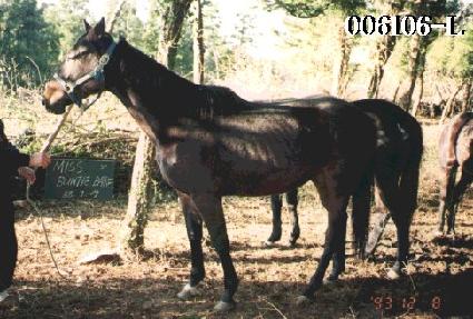 �̽���Ƽ���� ����