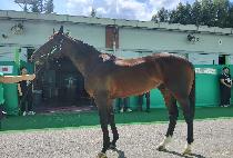 ġī�� (CHIKAPPA) ����