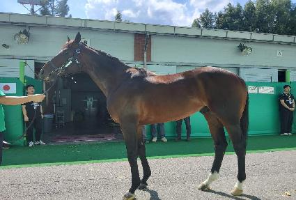 ġī�� ����