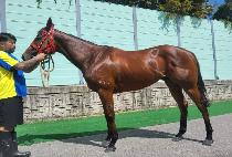 ������������Ʈ (SELF IMPROVEMENT) ����