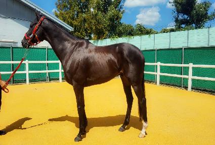 ��������ȣũ ����