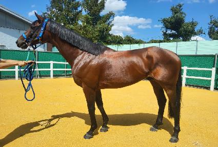 Ÿ�����Ƽ ����