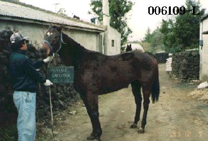 �÷����޽���ó ����