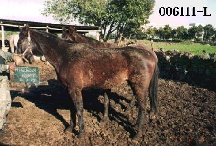 ������Ÿ�ϴ� ����