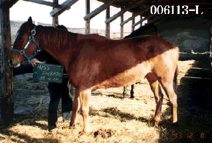 �̽���ũ��ƽ ����