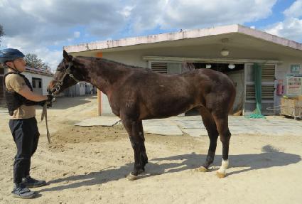 ��콺ī�Ϲ� ����