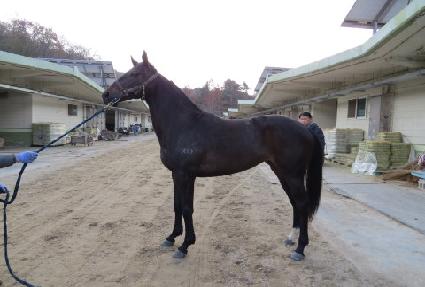 ���� ����