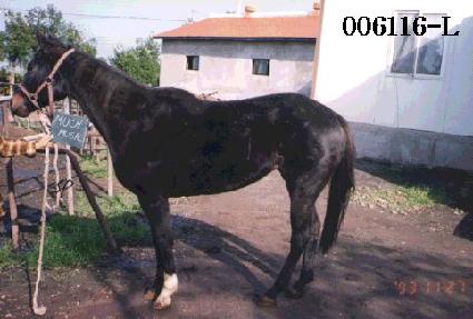 ��ġ���� ����