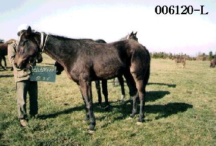 ���긮�� ����