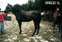 �к����� (PEBBLE DANCER) ����