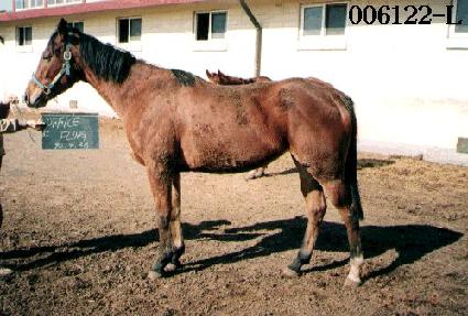 ���ǽ��ø� ����