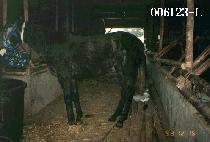 �������� (TOUGH LESSON) ����