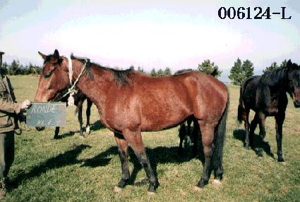 �е� ����