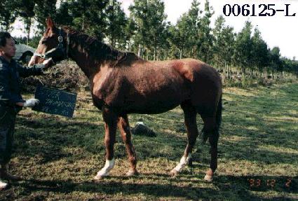 �ý����丶�� ����