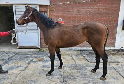 �������� ����