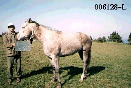 �۷������̵� ����