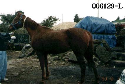 ũ����Ƽ�˼� ����