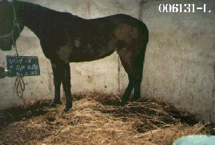 ���ÿ´����� ����