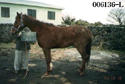 ��ũ���� ����