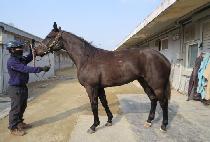 ��������Ƽ (MY QUALITY) ����