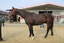 ���̹��� (MY MUSIC) ����