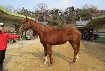 ���̽�Ƽ (MY CITY) ����