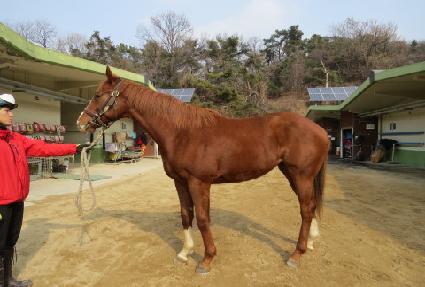 ���̽�Ƽ ����