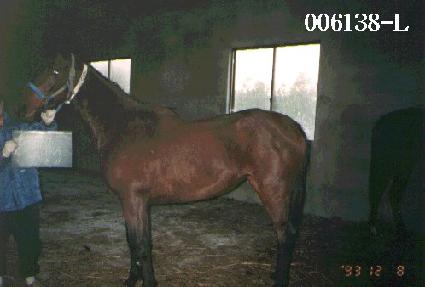 ĳ��ζ� ����